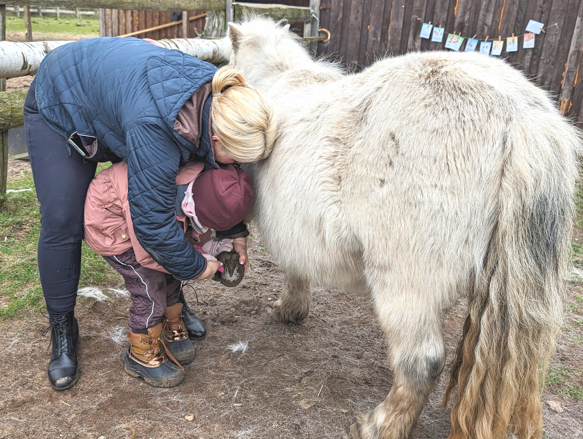 IMG_20240224_061440_2