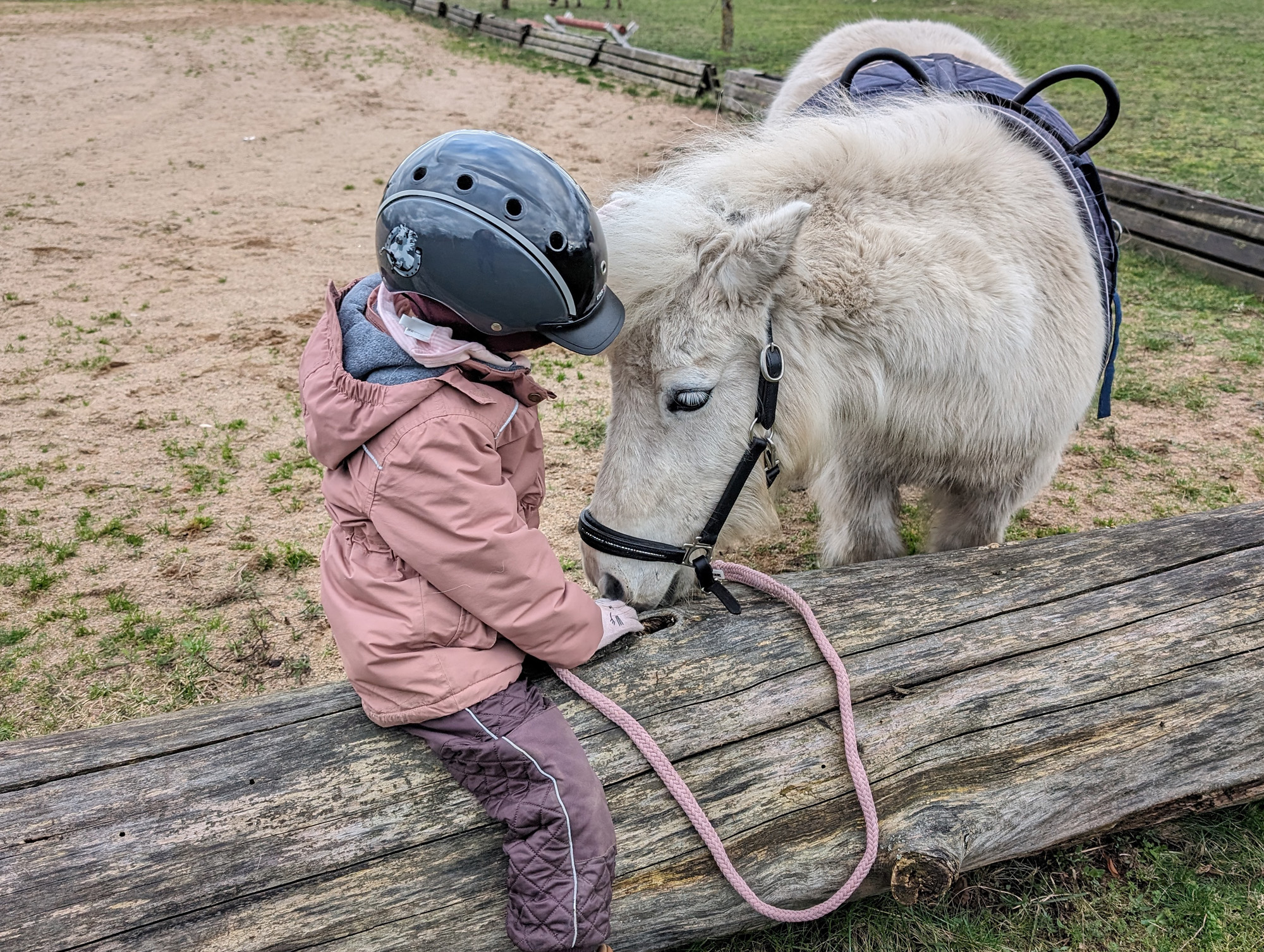 PXL_20240223_150225642_2